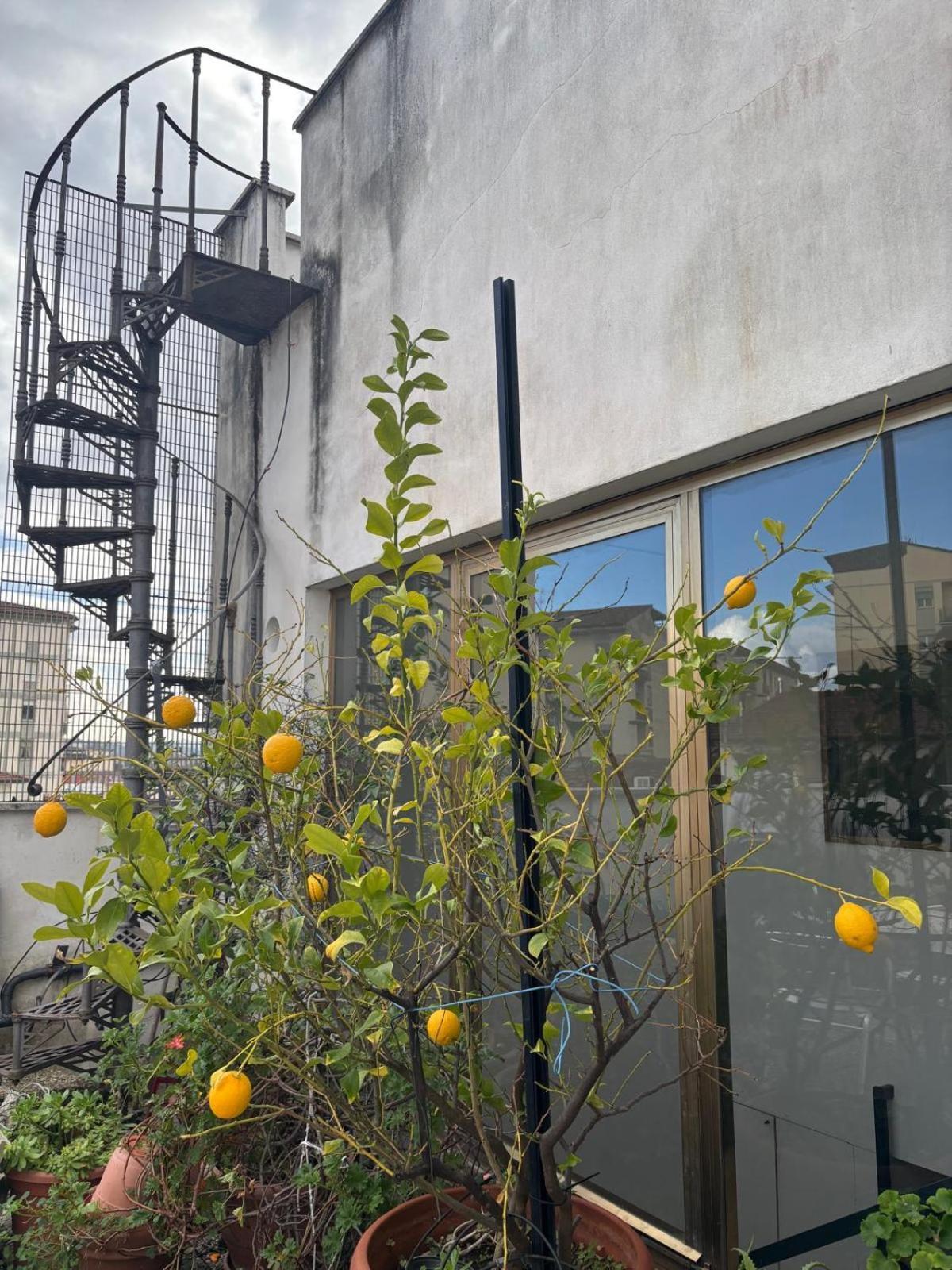 Hotel Girasole House Florencia Exterior foto
